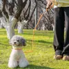 Coleira para Cão de Estimação Corrente de Ferro Teddy Golden Retriever Corda Corrente para Passeio de Cão Pequeno Médio Grande