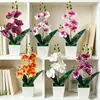 Orquídea Phalaenopsis artificial de 4 flores transfronteriza, bonsái cuadrado para interior, decoración creativa para el hogar, planta verde en maceta, adorno de flor artificial