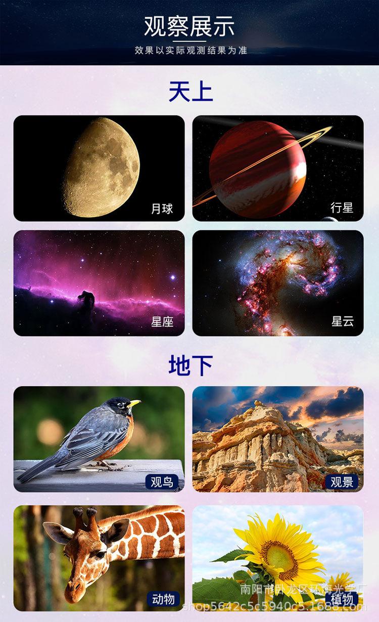 详情12.jpeg