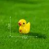 Pato amarelo colorido DIY Moss paisagem decoração pendurando acessórios desktop mini micro paisagem miniatura pequenos ornamentos