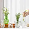 Jarrón de Cristal Repujado Vintage de Lujo de Entrada Sencilla Estilo Ins Jarrón para Mesa de Comedor Botella Decorativa Hidropónica Transparente Estilo Europeo