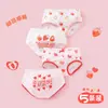 Calzones de Algodón Puro para Niñas Pantalones Cortos de Bebé Niña para Niños Tipo Algodón que No Aprietan para Niña Pequeña Venta al por Mayor Dropshipping