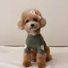Ropa Transfronteriza Nueva para Perro Otoño e Invierno Camiseta Base Oso Teddy Beaumibi Perro Pequeño Gato Suéter Bordado de Amor