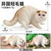 Brinquedo de modelo de gato animal sólido de simulação infantil transfronteiriça gato persa fantoche de cabelo curto bolo de gato enfeites de boneca