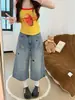 Pantalones vaqueros rectos cropped bordados retro Chao Li Youhuo para mujer, nuevo estilo verano 2026, pantalones anchos holgados y adelgazantes de longitud media