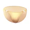 Tzy012S cueca masculina sexy cueca de seda de gelo translúcida com fecho plus size calcinha de cintura baixa