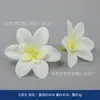 Flores de simulación blancas de venta caliente transfronteriza bolsa de materiales caja de regalo caja de flores material auxiliar visera gorra gorra de estudiante decoración DIY