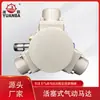 Motor Neumático de Pistón Yuanba Tmh025, Dispositivo de Accionamiento de Seguridad para Ambientes Inflamables y Explosivos, Alto Par de Arranque