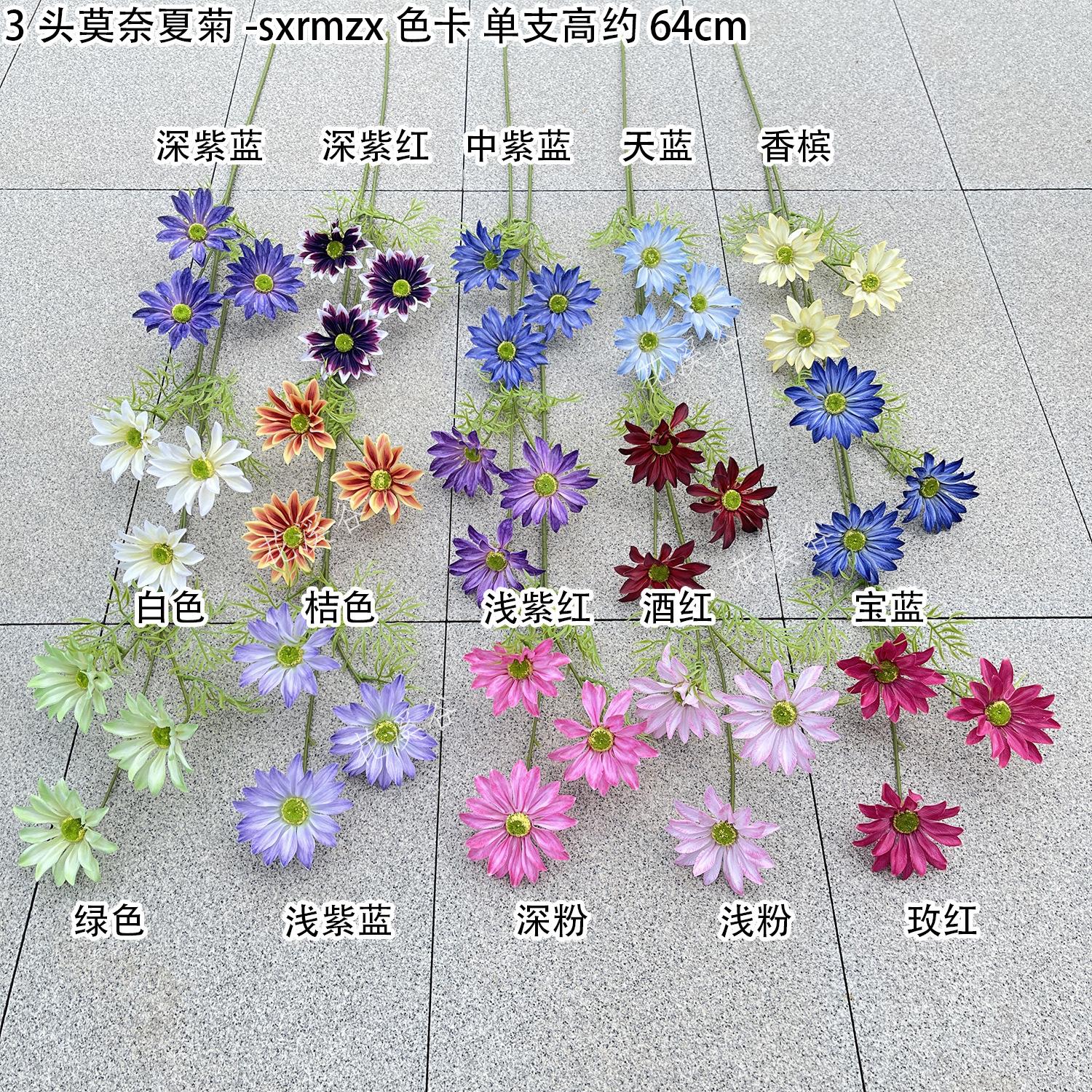 3头莫奈夏菊-sxrmzx 色卡 花溪谷.jpg