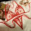 Sexy Ropa Íntima Sexy Francesa Multicolor, Tentación Apasionada, Encaje Bordado Transparente con Cordones de Tres Puntos, Exportación Europea y Americana 14152