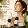 Aceites Esenciales de Aromaterapia Solubles en Aceite de Amazon, Máquina de Aromaterapia de Dos Fluidos, Velas de Uso Único, Aceites Esenciales Compuestos para DIY, Todo en Inglés