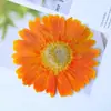 Gerbera Flor Prensada Flor Seca Flor Prensada Especimen Pegamento para Flores Prensadas Hecho a Mano Flor Real DIY Tamaño Grande