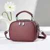 Bolso de hombro de moda 2024, estilo occidental, bandolera de gran capacidad, estilo coreano, pequeño bolso cuadrado con textura, moderno bolso multicapa para teléfono móvil.