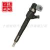 El inyector diésel 0445110682 es adecuado para el conjunto de inyector de combustible de riel común de alta presión del motor 55263233