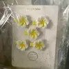 Pinza para el Cabello de Plumeria Clip de Verano Nuevo Accesorio para el Cabello de Playa Pinza de Celebridad de Internet Pinza de Tiburón en la Parte Posterior de la Cabeza Gorro Dai