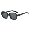 2024 Gafas de Sol Casuales Versátiles de Moda Personalizadas para Viajes, Ciclismo, Pesca, Protección Solar para Hombres y Mujeres