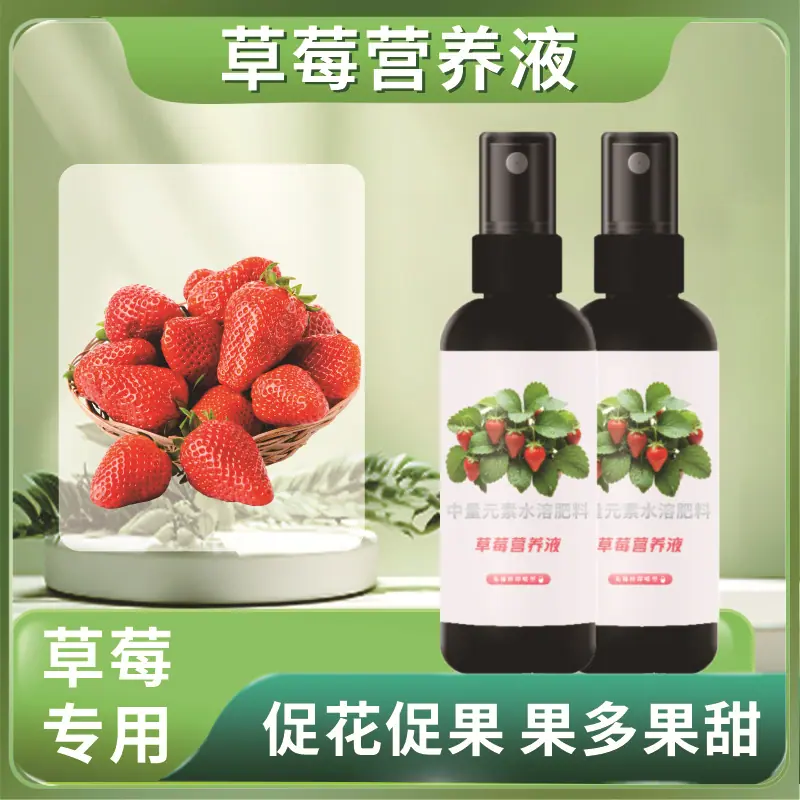 草莓营养液