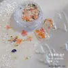 Lentejuelas Iridiscentes Polarizadas Ultra Delgadas para Uñas, Discos de Lunares, Polvo Brocado Nube Ópalo de Alto Brillo Cristal de Hielo, Jardín Secreto de Flores Secas