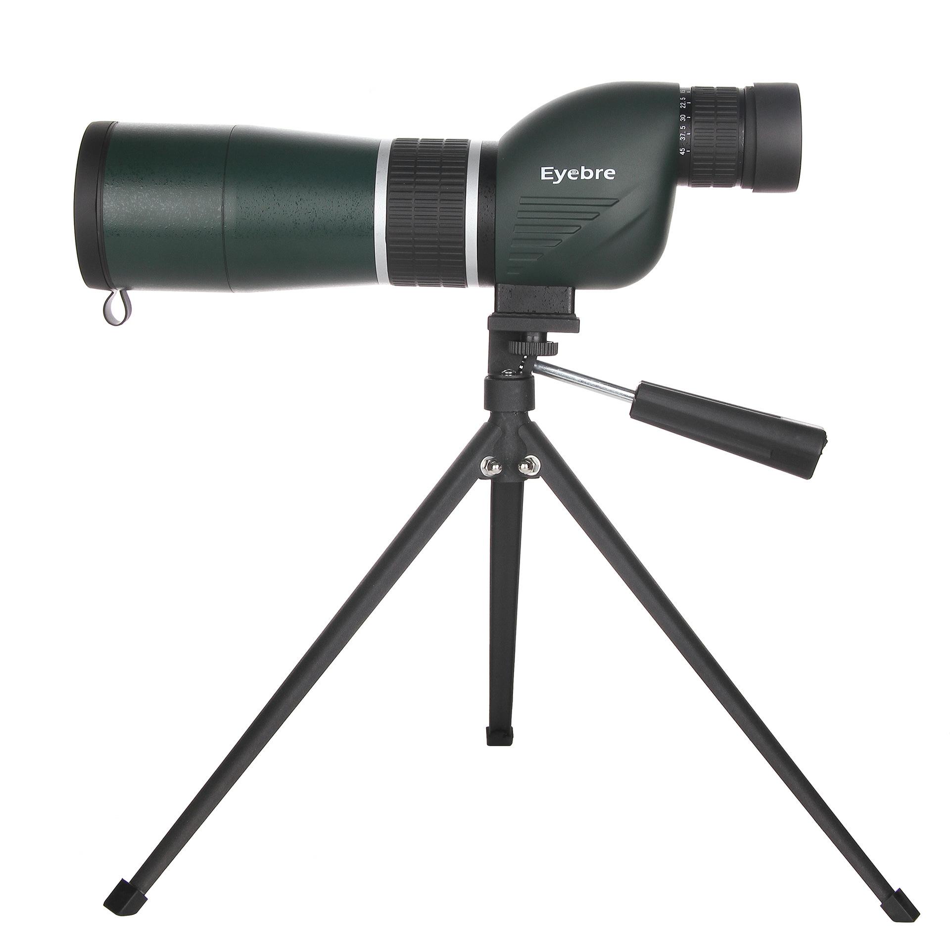 7918846236_1535886541