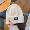 Sombrero de marca de moda de estilo japonés, sombrero de lana para hombres y mujeres, sombrero de punto de otoño e invierno, sombrero de calle grueso y cálido con protección para los oídos, sombrero para el frío.