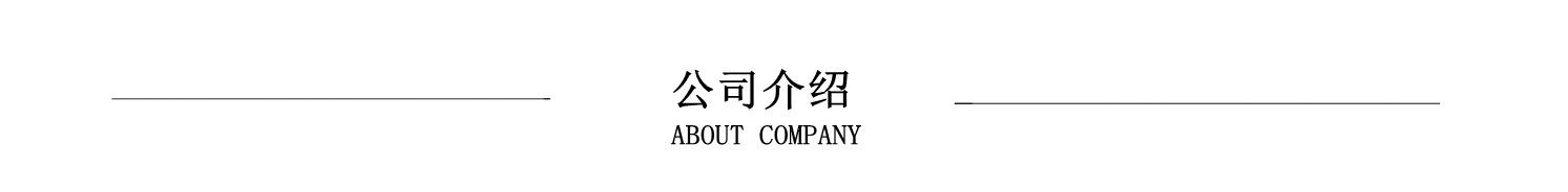 公司介绍