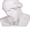 Estátua de gesso de Platão auxílios de ensino molde esboço decoração arte exame retrato de cabeça estátua de busto suprimentos de geometria gesso