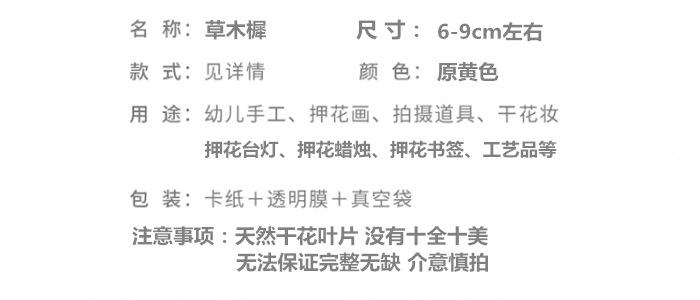 草木樨.png