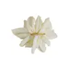 Super Hada Elegante Chifón Flor Pinza para el Cabello para Mujer Verano Parte Trasera de la Cabeza Clip Cola de Caballo Tocado Sentido Avanzado Simple Pinza de Primavera