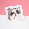 Fornecimento Transfronteiriço Atacado Tatuagens Temporárias Fofas de Animais Adesivos Gatinho Cachorrinho Panda Impermeável Estilo Ins para Crianças