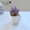 Suculenta Pequeño Bonsái Cerámica Muebles para el Hogar Decoración Fabricante de Jinhua Plantas Verdes Aliexpress Flor Artificial Plantas en Maceta