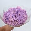 [Anna solteira] Hortênsia Eterna Anna Ramo Inteiro Hortênsia Flor Organizar Flor Fotografia Adereços Decoração
