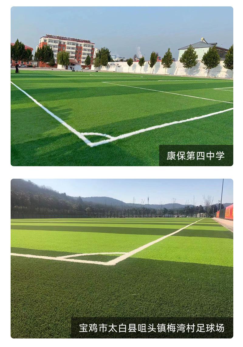 运动场草坪_12.jpg