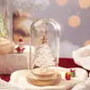 Adornos de Vidrio de Zibo Alambre Estirado Hecho a Mano Cubierta de Vidrio para Árbol de Navidad Set de Caja de Regalo Pequeños Regalos de Navidad Decoración de Escritorio