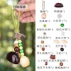 Semente Idioma Sino Claro Fruta Casca Material Kit DIY Plantação de Plantas Sino Pendurado Bolsa Chaveiro Joia Artesanal Pingente Atacado