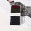 Anillo para toalla NUEVO 6 en caja anillo para el pelo de alta elasticidad base anillo para toalla cuerda para la cabeza gruesa grande venta al por mayor