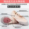 Zapatos de Baile para Niñas Zapatos Garra de Gato Princesa Niñas Suela Blanda Zapatos de Ballet Niños de Guardería Rosas Carnosos