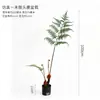 Plantas verdes artificiales, helecho cabeza de mono, helecho dorado, helecho estilo Zen, plantas verdes para oficina y sala de estar, plantas en maceta de pie, adornos de decoración para entrada
