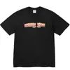 Camiseta de Algodón Puro de Estilo Europeo Transfronterizo, Tendencia Original 24Ss, Camiseta de Manga Corta con Estampado de Letras y Pintura en Spray Graffiti