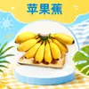 Guangxi Manzana Plátano Dropshipping 2/3/5/ 4.5kg Naturalmente Maduro Dulce y Ácido Buena Textura Plátano Rosa Fruta Fresca