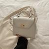 Bolso Pequeño Exquisito con Diseño de Candado Súper Popular para Mujer 2025 Nuevo de Principios de Otoño Bolso de Hombro Único Cruzado Bolso Popular Transfronterizo para Mujer