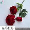 Peonía Pompon Estilo Europeo Peonía Envuelta en Núcleo Adornos de Arreglo Floral de Mesa para Boda Flores de Seda Diseño de Escenario Flores Falsas