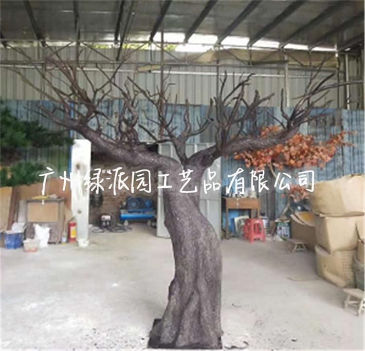 枯树821.jpg