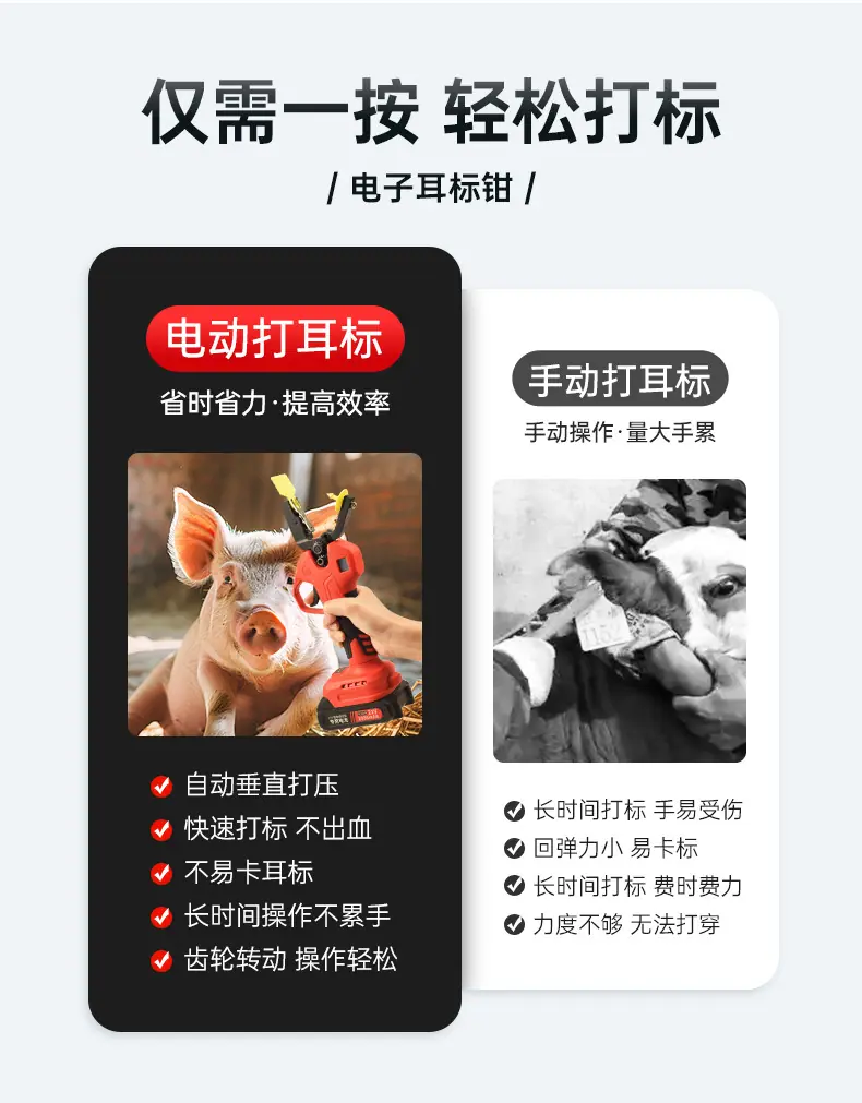 详情3333_03.jpg