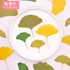 Hojas de ginkgo amarillas y verdes, flores prensadas, flores secas, hojas reales, especímenes de plantas, materiales didácticos, manualidades DIY para niños y arte con pegatinas