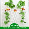 Videira de fruta folha de uva folha verde planta de plástico tubo de água flor falsa videira teto suspenso decoração de hotel