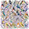 50 piezas de pegatinas de pájaros acuarela con temática de bosque en PET, pájaros coloridos, flores de lavanda, estilo artístico, adecuadas para cuadernos y vasos de agua