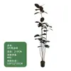 Estilo de Lujo Ligero Planta Verde Simulada Árbol de Caucho Diamante Negro Plantas Falsas Decorativas de Pie para Sala de Estar Balcón Paisajismo