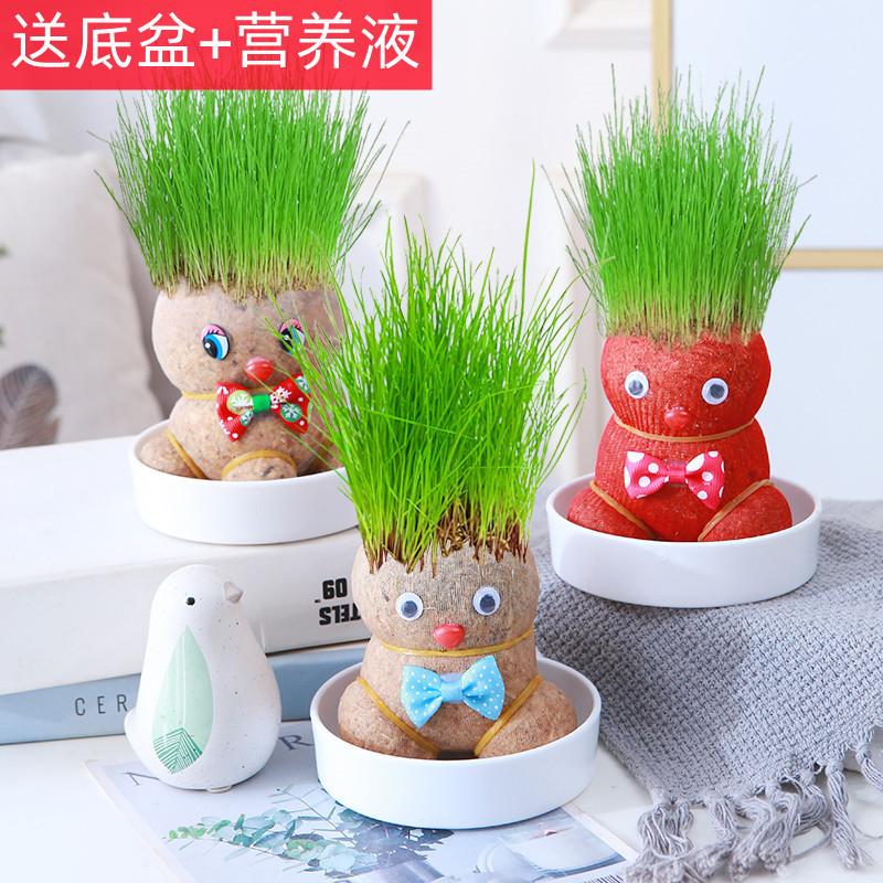 复制_diy创意草头娃娃绿植桌面水培儿童好养长.jpg