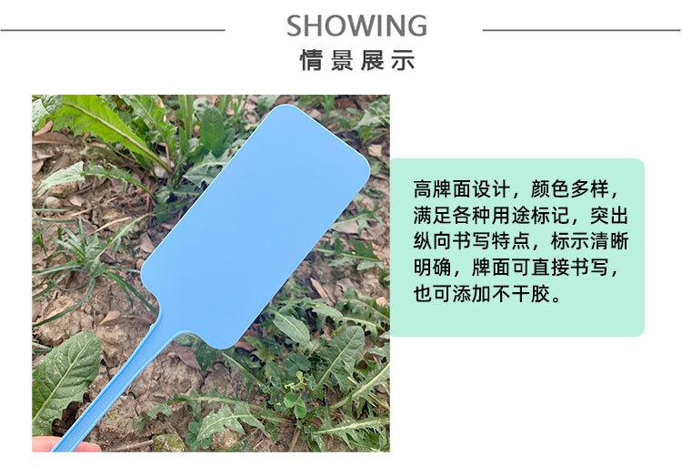 未标题-1_05.jpg