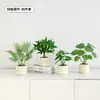 Plantas Verdes, Vasos Pequenos, Árvore da Fortuna Semelhante para Mesas de Escritório Internas, Mesas de Centro de Sala de Estar, Flores Artificiais e Arranjos Florais